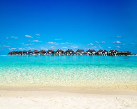beach landscape. sand of beach caribbean sea