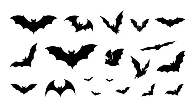 Set of black bat silhouettes isolated on white background