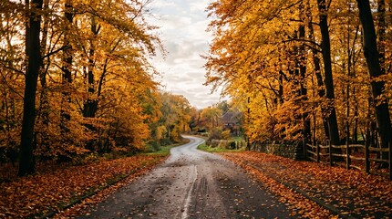 Fototapeta premium Winding Country Road Passing Through Golden Autumn Forest Trees Landscape