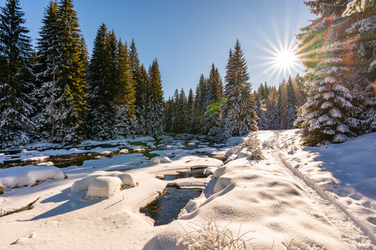 Winter view of the Vydra River flowing through the Modrava valley in Sumava National Park, Czech Republic, with warm sunrise light illuminating the snowy forest and landscape.