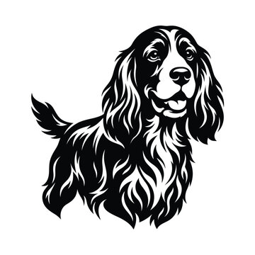 Black and white of a cocker spaniel dog canine animal