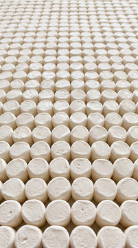 Close up view of neatly arranged white cylindrical food items