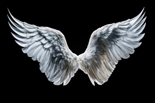 White feathered wings opening against a black background in a sharp studio macro shot for spiritual branding and cinematic poster design