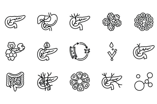 Set of medical line icons representing pancreatic anatomy digestive system organs cellular structures metabolic processes and biological functions for educational healthcare design