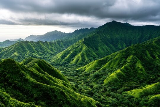 Tropical mountain ridges rising under a moody sky in a lush valley captured with sharp focus for adventure travel and conservation marketing