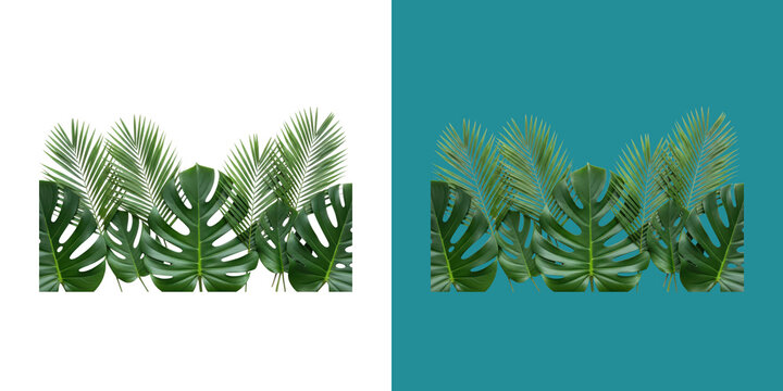Green tropical palm and monstera leaves border frame design digital graphic resource transparent png