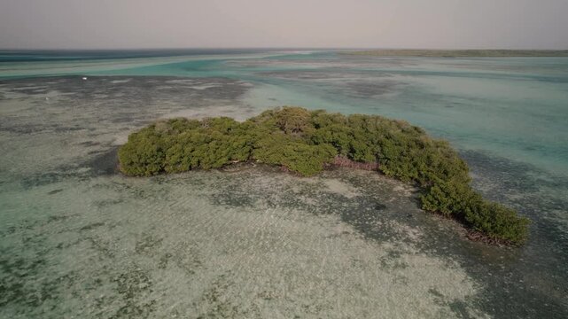 Drone shot high-angle isolated green mangrove island situated atop shallow sand flat and coral reef surrounding crystal-clear waters Caribbean Sea. Reveal beautiful underwater texture. Flat profile