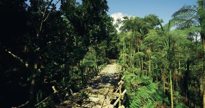 Winding walkway above dense tropical canopy, Peaceful raised pathway traversing thick jungle greenery designed for educational ecotourism experiences