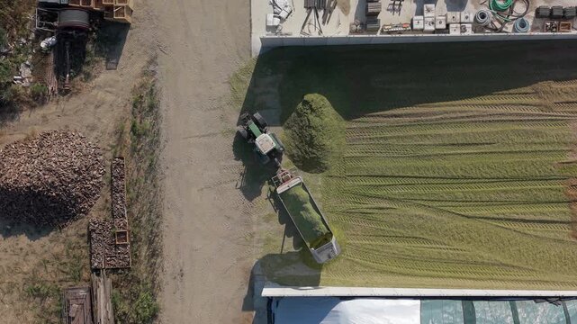 Aerial footage of tractors working in a silage storage pit, transporting, spreading and compacting freshly cut grass as part of an agricultural forage preservation process in Lombardy, Italy.