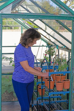 Labelling fuchsia varieties, for next spring and summer.