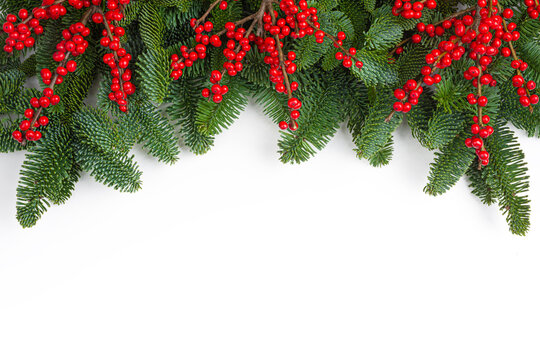 Festive Christmas background with evergreen branches and red berries on white