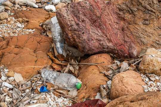 Discarded plastic bottles and debris on a rocky shoreline reveal pollution&rsquo;s impact on nature, urging conservation, cleanup, and sustainable action.