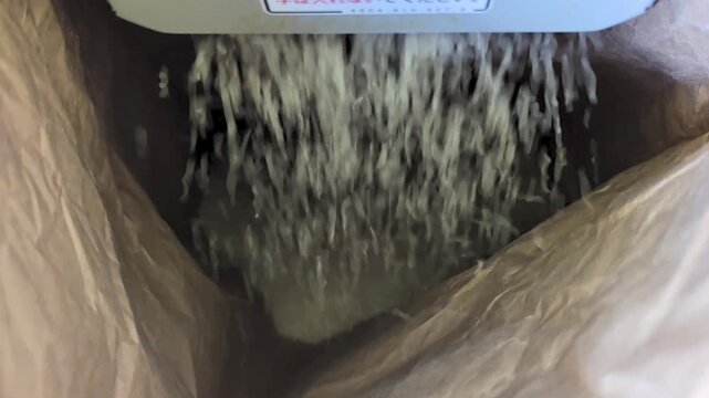 精米機から次々と流れ出る削りたての白米（日本の食文化）