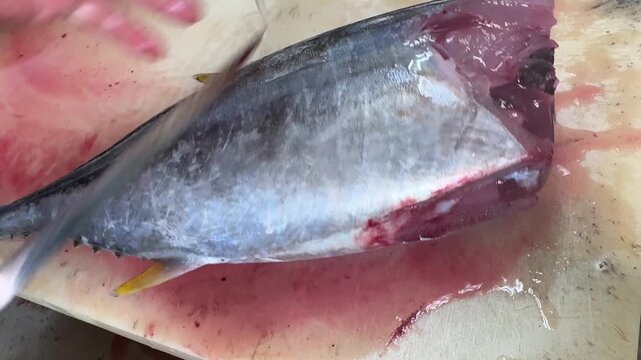Tuna Fish Cleaning, Chef Opening the Belly in a Japanese Kitchen