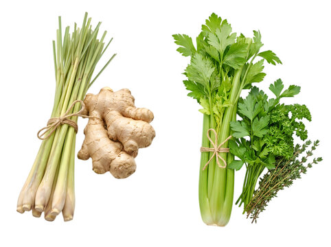 Fresh lemongrass ginger and celery herbs for cooking isolated on transparent background