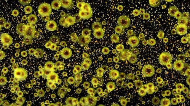 Bright yellow and amber bioluminescent cell structures with sparkling star accents floating in a dense organic swarm creating a microscopic biological motion