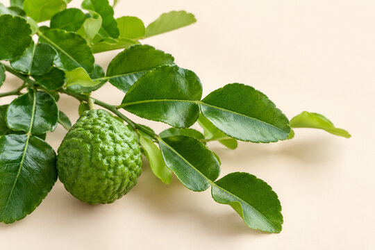 Makrut lime leaves and fruit