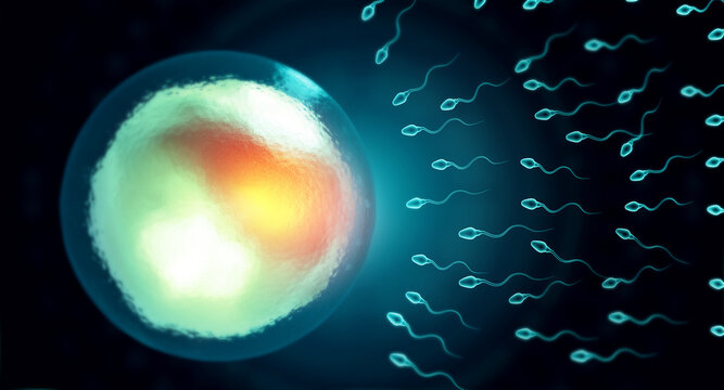 Microscopic human egg cell surrounded by active moving sperm cells attempting fertilization on an abstract medical scientific digital background.