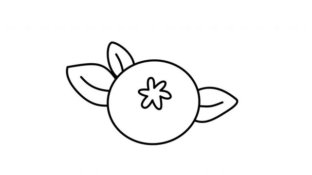 blueberry fruit outline illustration