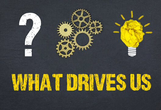 What drives us	
