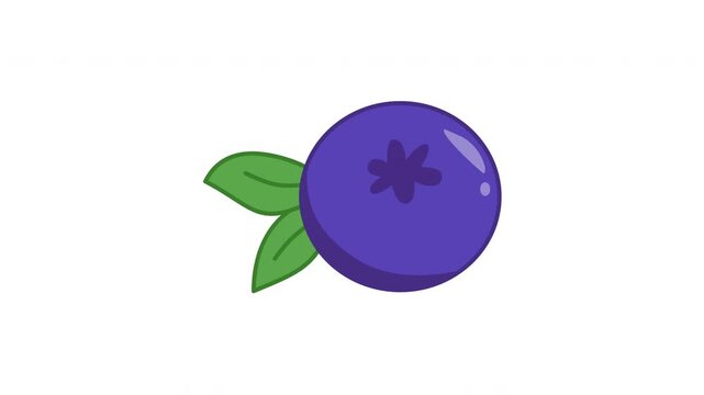 blueberry fruit with leaves illustration