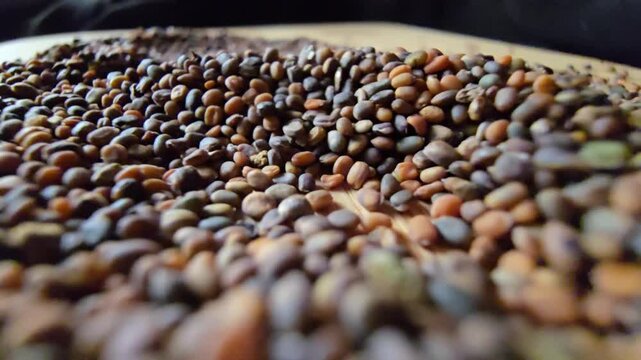 Close-up macro shot of organic arugula and rocket seeds, highlighting rich natural textures and agricultural details on a wooden surface.