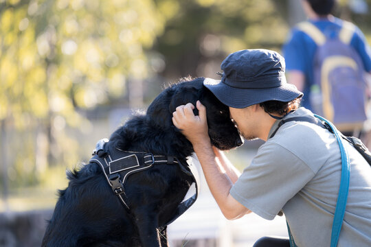 [晩夏～秋イメージ]大型犬と顔を寄せて見つめ合う触れ合う日本人男性、犬と飼い主の絆、信頼、コミュニケーションイメージ