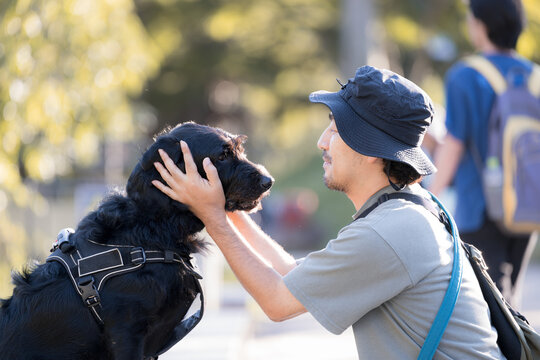 [Late Summer to Fall Theme] A Japanese man leaning in close to gaze into the eyes of a large dog; imagery depicting the bond, trust, and communication between a dog and its owner