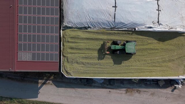 Aerial View Green Tractor Harvesting Forage and Filling Silage Pits on Italian Farm