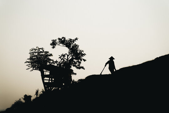 Silhouette of a farmer wearing a conical hat and holding a hoe on a hill ridge at sunrise in Pati Regency Central Java Indonesia