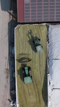 Overhead drone footage of agricultural machinery working in a silage trench, where tractors distribute and compact freshly cut grass for long-term forage storage on a farm in Lombardy, Italy