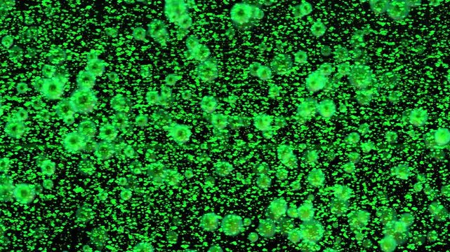 Neon green digital micro organisms flowing seamlessly in a continuous loop creating a sophisticated cybernetic texture for futuristic sci fi interface designs