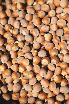 Closeup view of hazelnuts. Background