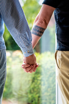 Rear view of a gay couple standing at the glass door holding hands, looking out the window