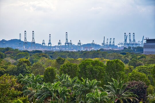 Port of Singapore photo - harbor cranes seen over park greenery. Big harbor in Southeast Asia.