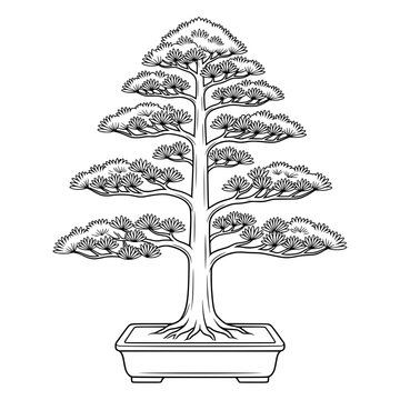 formal upright bonsai tree line art illustration in a rectangular pot