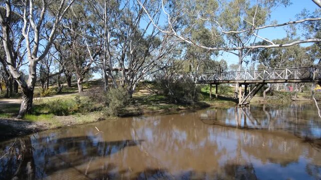 a wooden footbridge spanning a calm section of the Wimmera River in Horsham, Victoria, Australia with pedestrians&nbsp;crossing overhead, surrounded by native river red gums and parkland