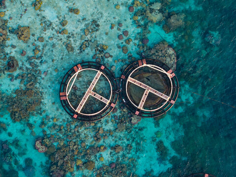 Aerial view of circular fish cages floating in clear turquoise water above a vibrant coral reef in Karimunjawa, Jawa Tengah, Indonesia.