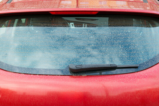 Dirty rear car window with a wiper