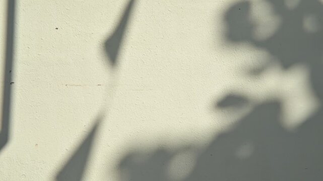 Shadows of tree branches and objects create patterns on a surface as sunlight shifts. The scene captures the gradual movement of shadows throughout the day