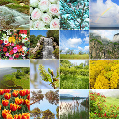 Fototapeta premium Collage with beautiful flowers, landscapes, buds, waterfalls, branches - Lush green fields, blooming flowers, and cascading waterfalls. Soft petals and vibrant blossoms fill the frame