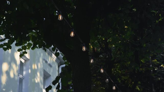 String lights hang from tree branches, casting a warm glow in a garden setting as dusk approaches. The lights create an inviting atmosphere among the leaves and soft background