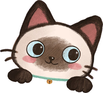 Siamese Cat Smile Cute Hand Drawn Colored Pencil