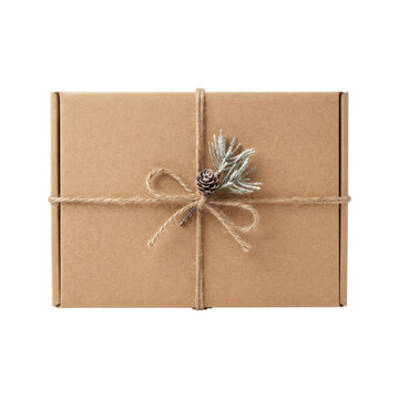 Kraft paper gift box with twine and pine branch