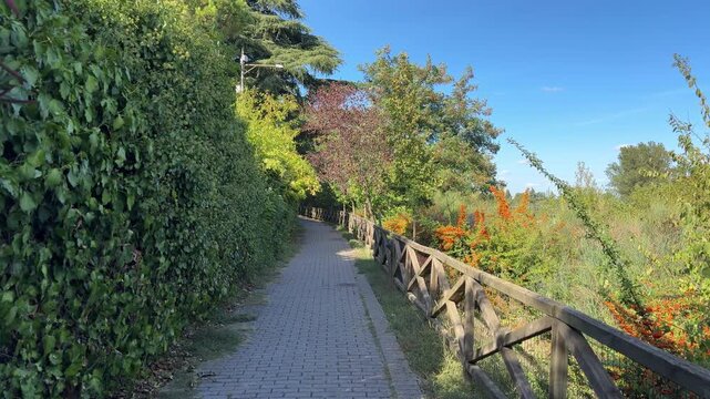 Casalecchio di Reno pedestrian path surrounded by trees and vegetation, Bologna, Emilia-Romagna, Italy