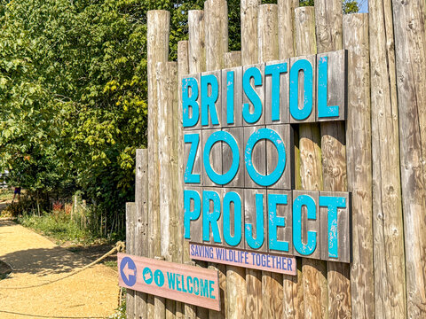 Bristol, England, UK - 3 August 2026: Sign at the entrance to the Bristol Zoo Project which is located on the outskirts of the city of Bristol.