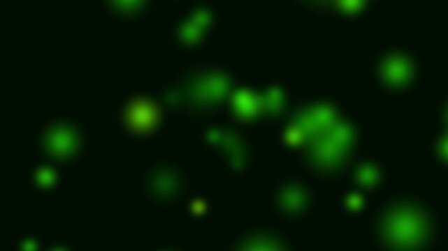 Bokeh lights animation drifts with soft unfocused illumination. Cinematic optical atmospheric layers shape active bokeh lights animation. Modern title designers use lights.