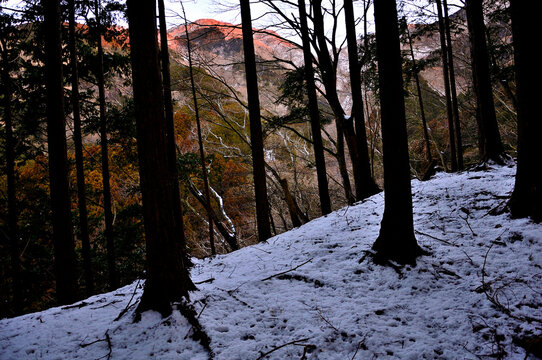 朝焼けの冬の山地　丹沢の小草平尾根より小丸尾根
