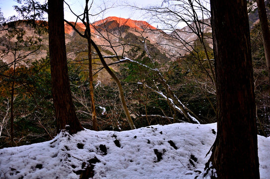 朝焼けの冬の山地　丹沢の小草平尾根より小丸尾根
