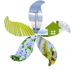 Collage with flowers, leaf, grassy home, wind turbine in flower shape - Ecological harmony symbolized through nature elements and sustainable living. Wind turbine stands for renewable energy sources © Pavel Losevsky